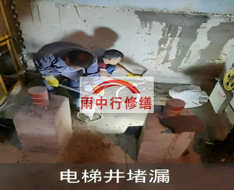 凉山星雨华府电梯井堵漏案例